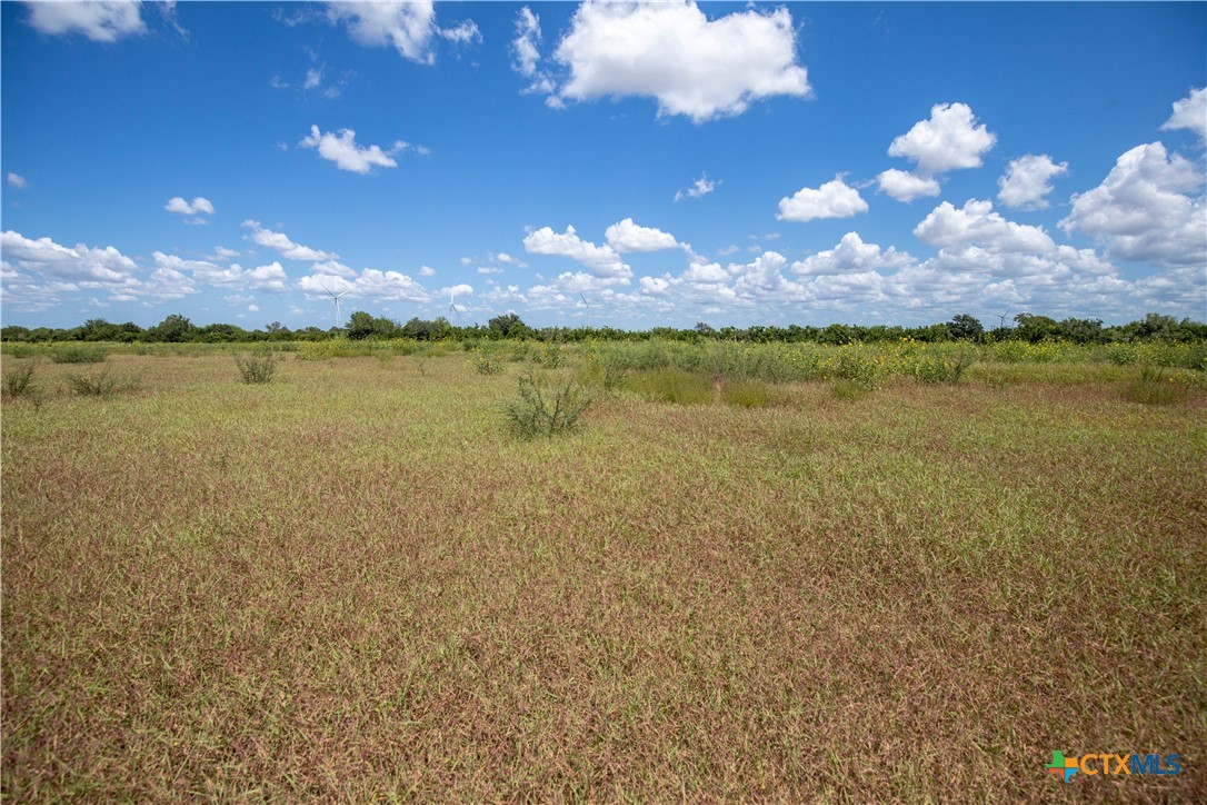 San Patricio County | 39.94 Acre Hay Field