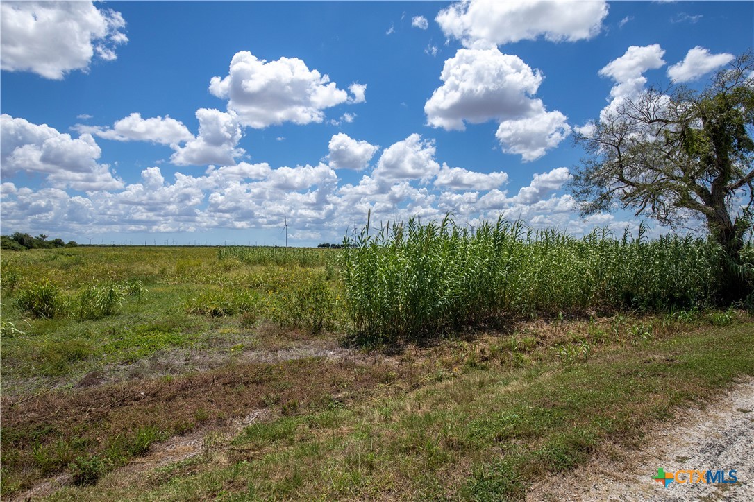 San Patricio County | 39.94 Acre Hay Field