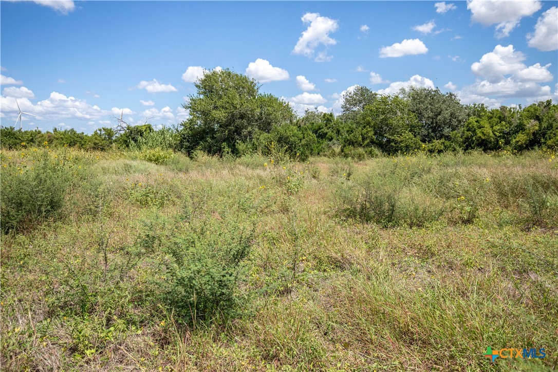 San Patricio County | 39.94 Acre Hay Field