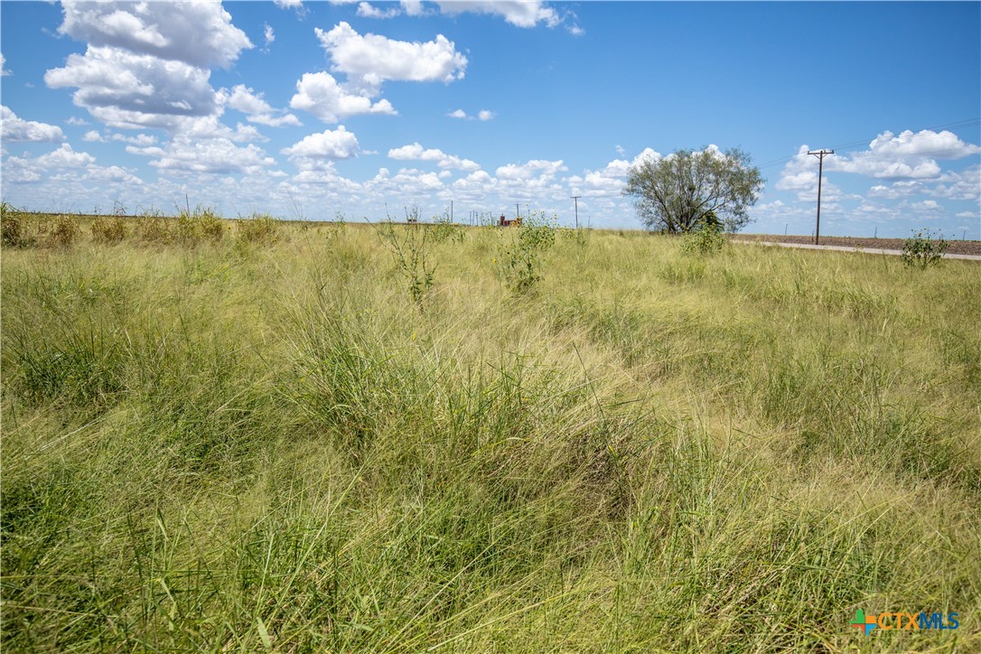 San Patricio County | 39.94 Acre Hay Field