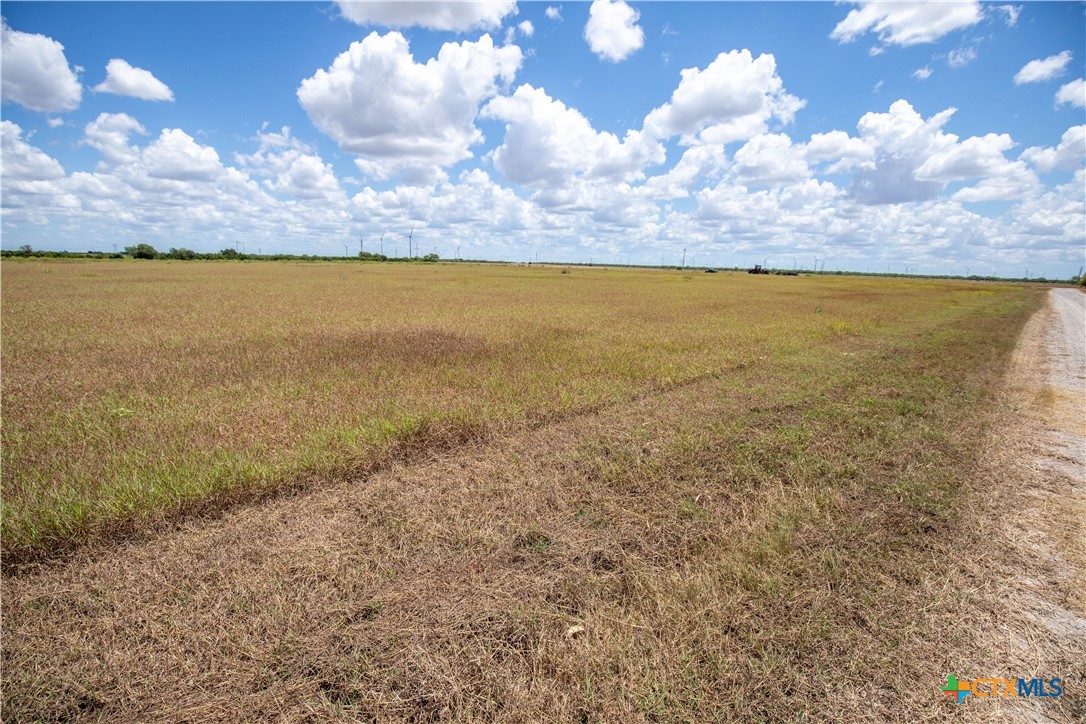 San Patricio County | 39.94 Acre Hay Field