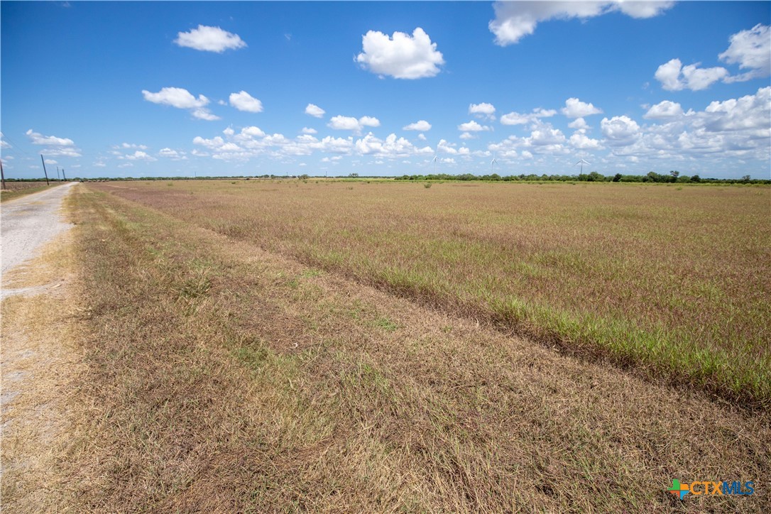 San Patricio County | 39.94 Acre Hay Field