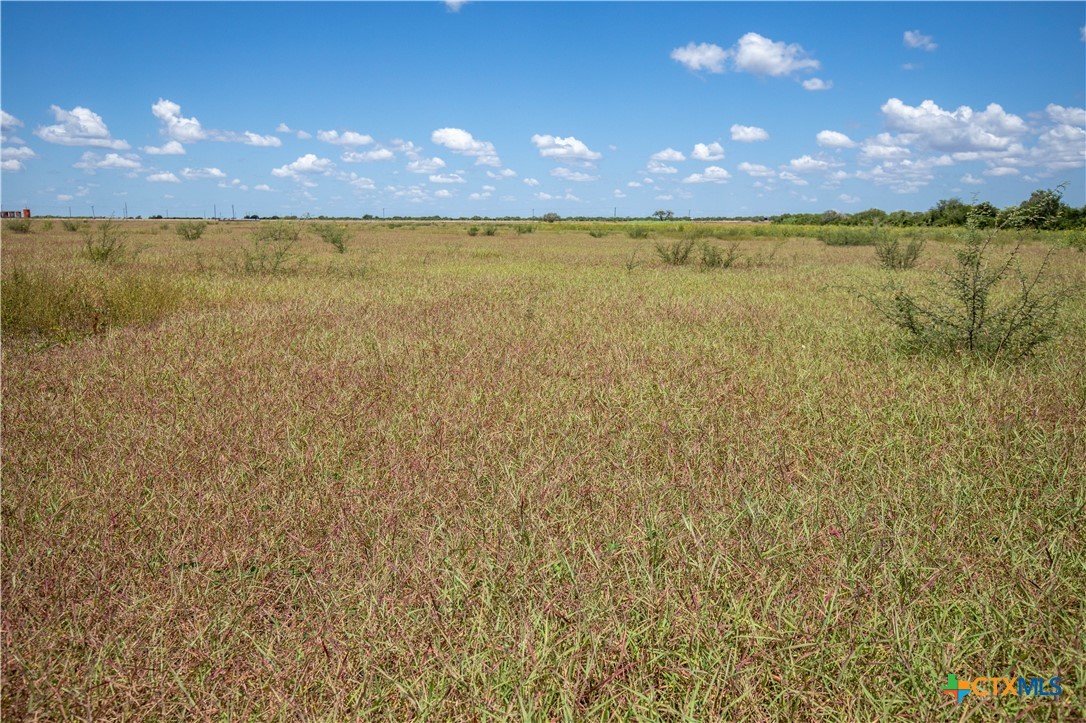 San Patricio County | 39.94 Acre Hay Field
