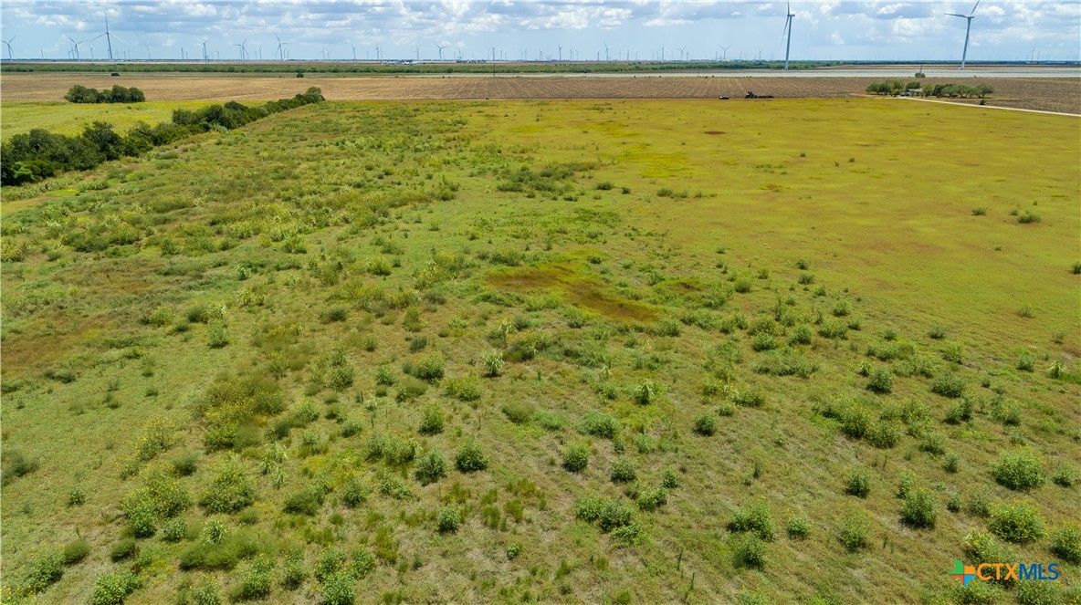 San Patricio County | 39.94 Acre Hay Field