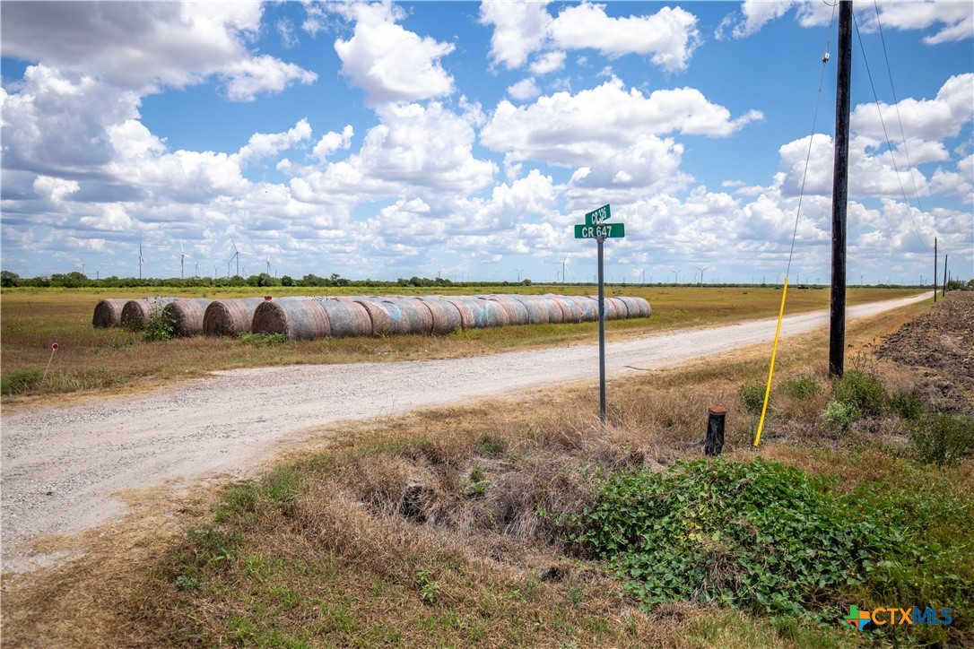 San Patricio County | 39.94 Acre Hay Field