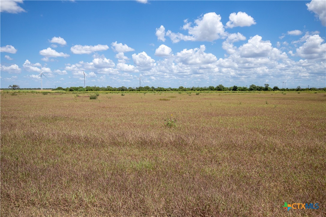 San Patricio County | 39.94 Acre Hay Field