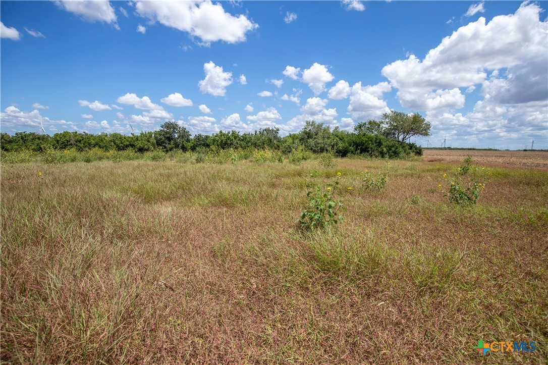 San Patricio County | 39.94 Acre Hay Field