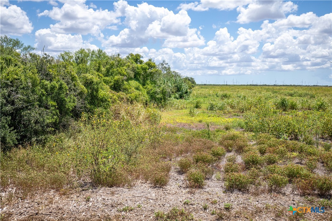 San Patricio County | 39.94 Acre Hay Field