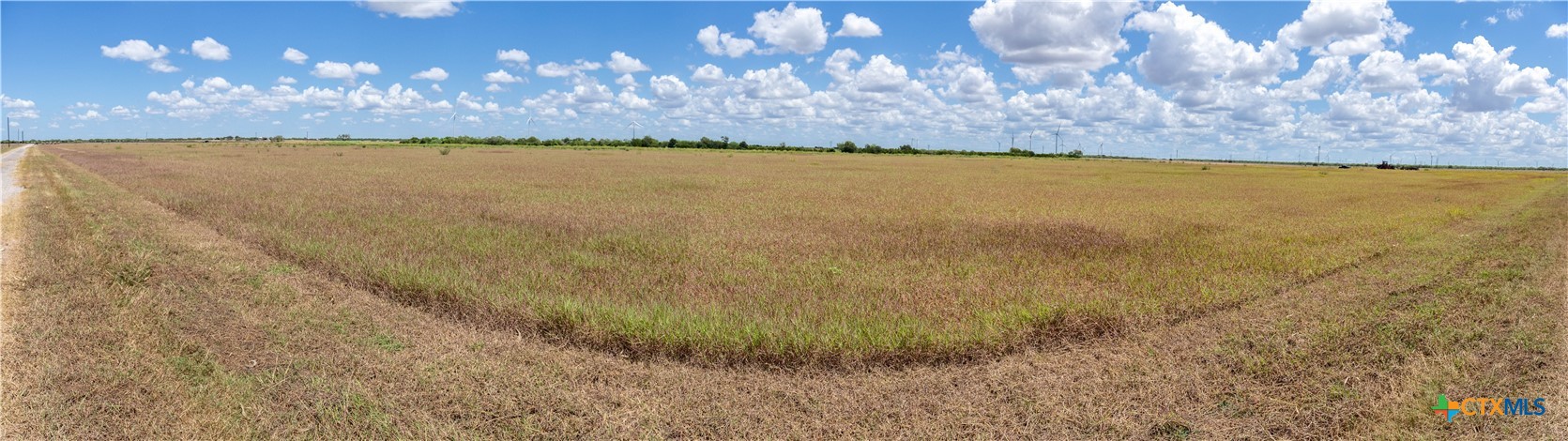 San Patricio County | 39.94 Acre Hay Field