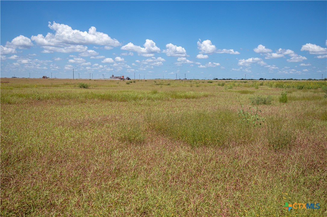 San Patricio County | 39.94 Acre Hay Field