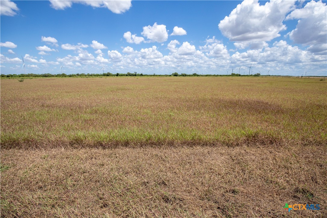 San Patricio County | 39.94 Acre Hay Field