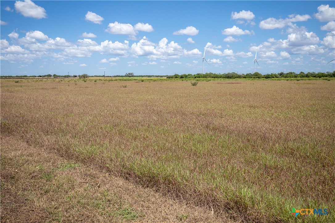 San Patricio County | 39.94 Acre Hay Field