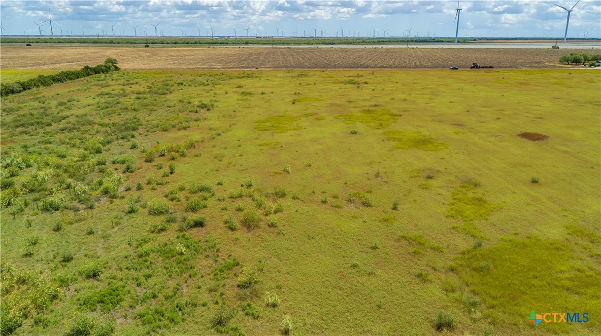 San Patricio County | 39.94 Acre Hay Field