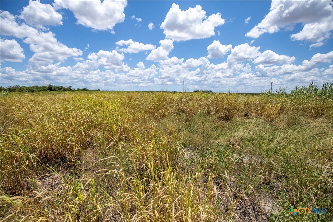 San Patricio County | 39.94 Acre Hay Field
