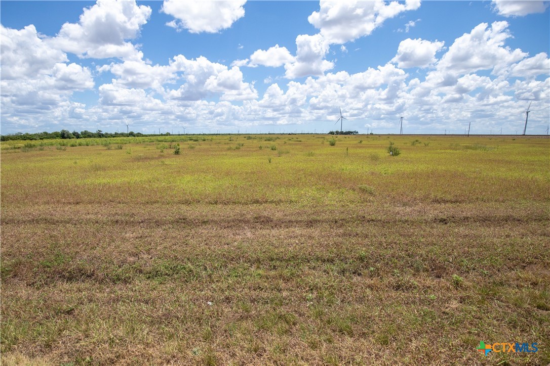 San Patricio County | 39.94 Acre Hay Field