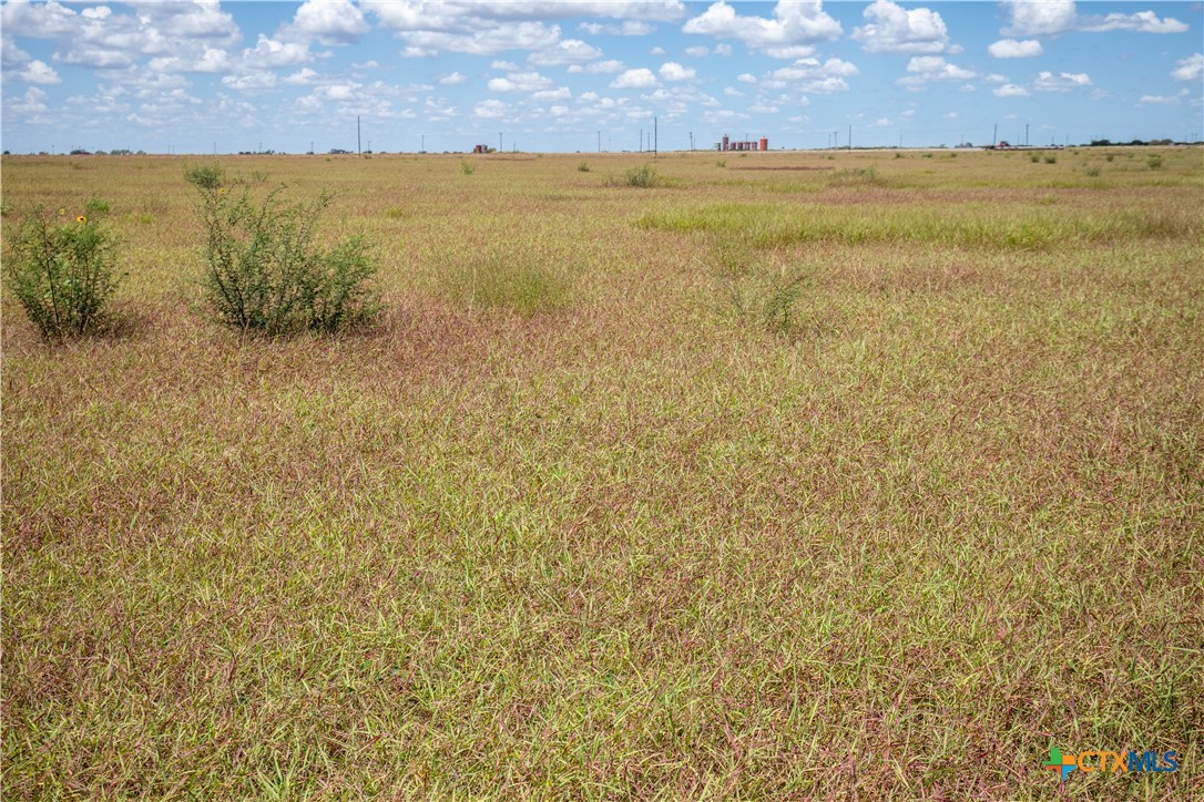 San Patricio County | 39.94 Acre Hay Field