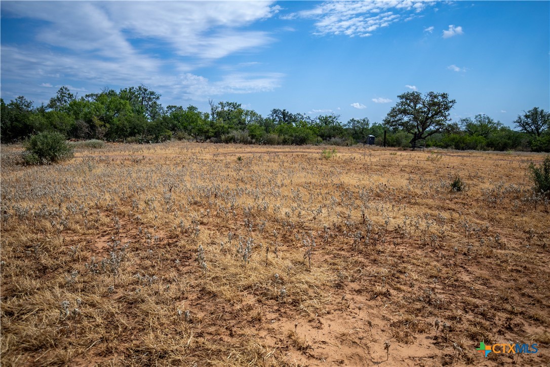A Landscape of Texas Charm, Views, & Wildlife | 26.65± Acres | Poteet, TX