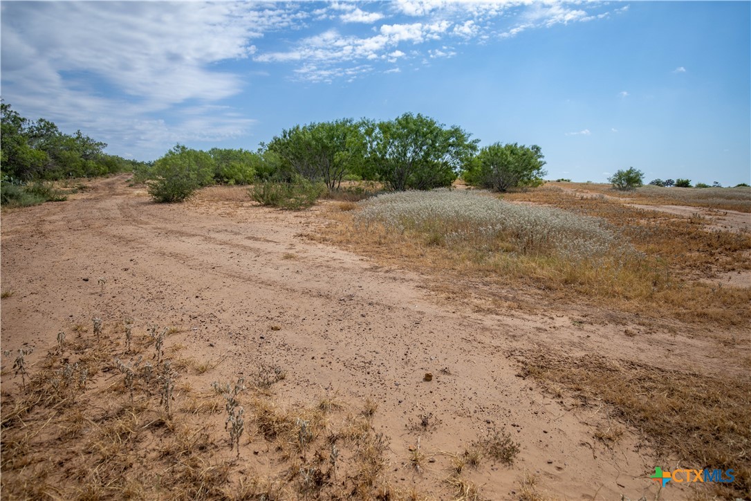 A Landscape of Texas Charm, Views, & Wildlife | 26.65± Acres | Poteet, TX