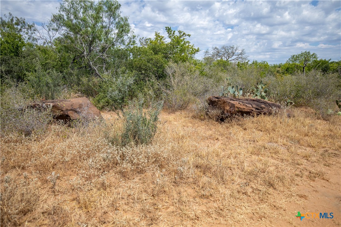 A Landscape of Texas Charm, Views, & Wildlife | 26.65± Acres | Poteet, TX