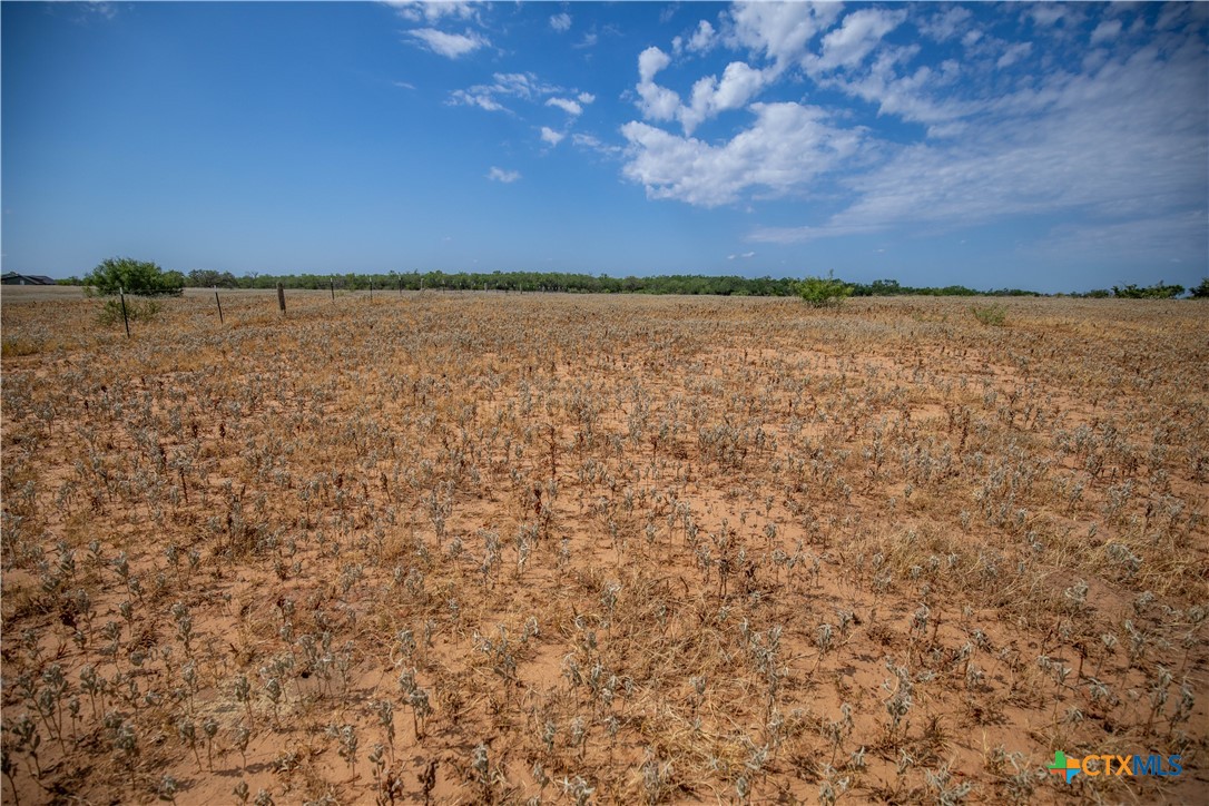 A Landscape of Texas Charm, Views, & Wildlife | 26.65± Acres | Poteet, TX