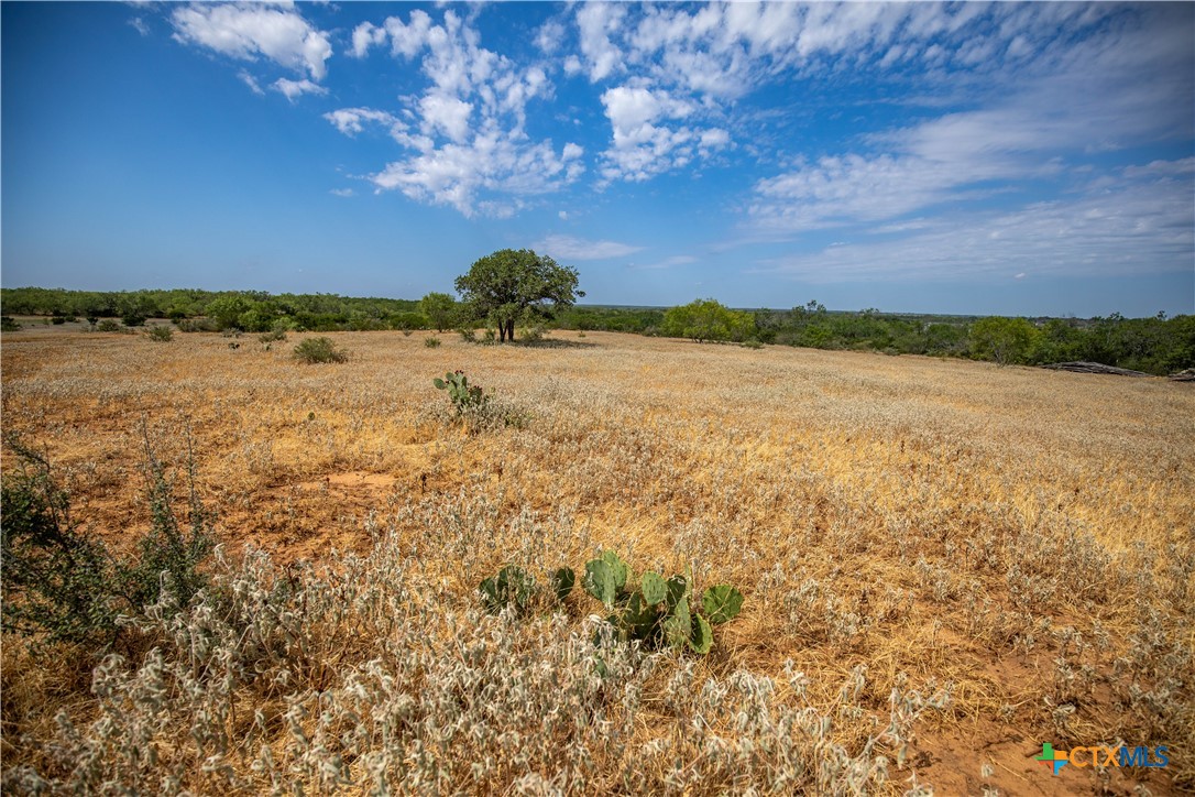 A Landscape of Texas Charm, Views, & Wildlife | 26.65± Acres | Poteet, TX