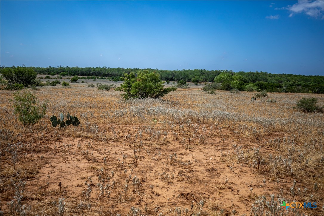 A Landscape of Texas Charm, Views, & Wildlife | 26.65± Acres | Poteet, TX