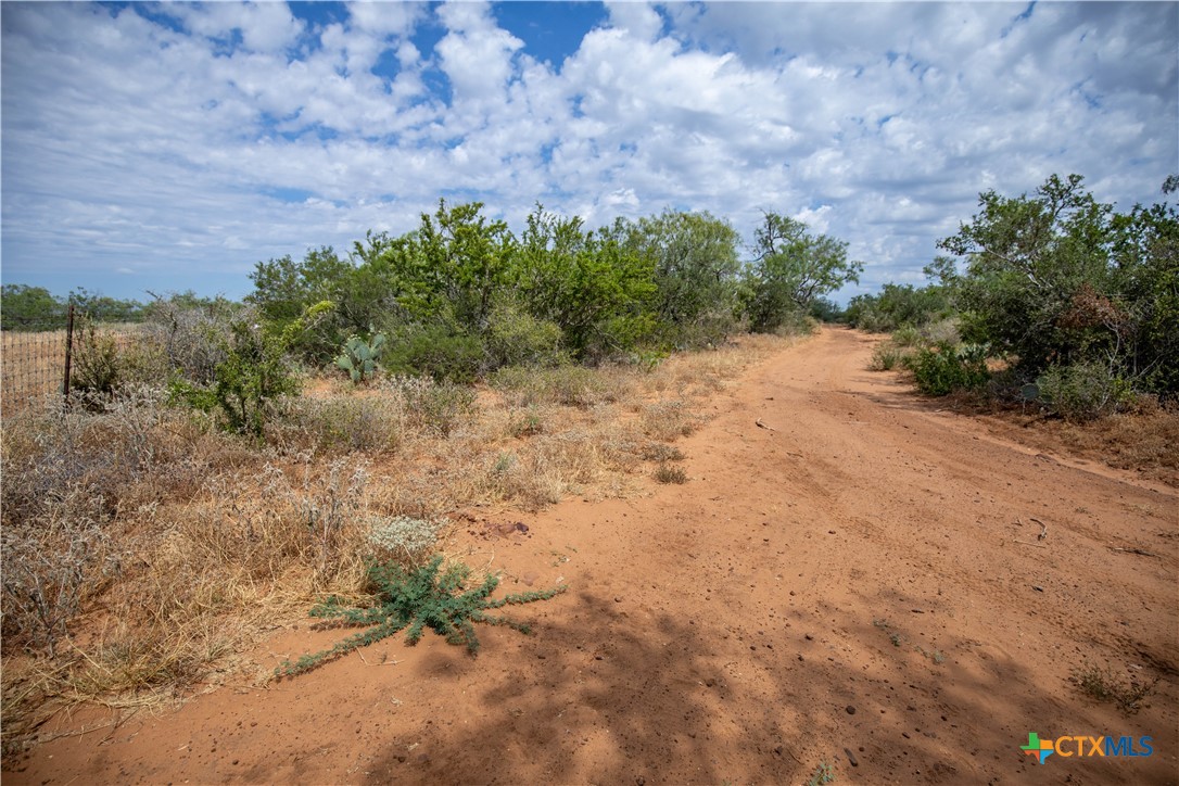 A Landscape of Texas Charm, Views, & Wildlife | 26.65± Acres | Poteet, TX