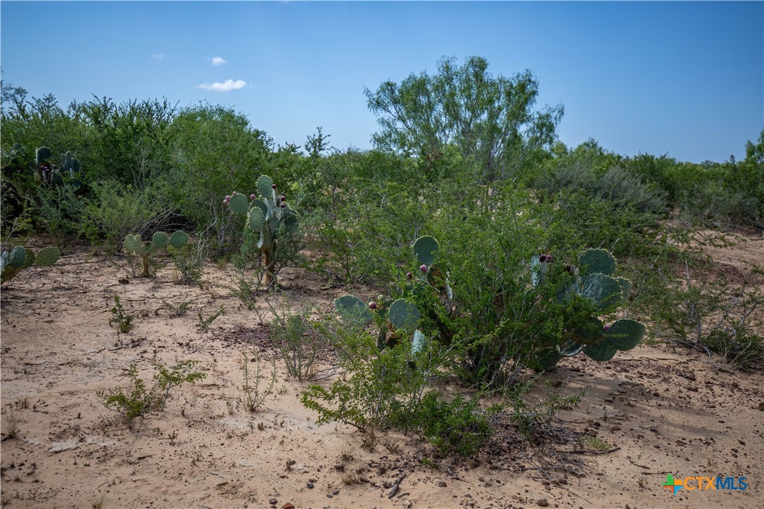 A Landscape of Texas Charm, Views, & Wildlife | 26.65± Acres | Poteet, TX