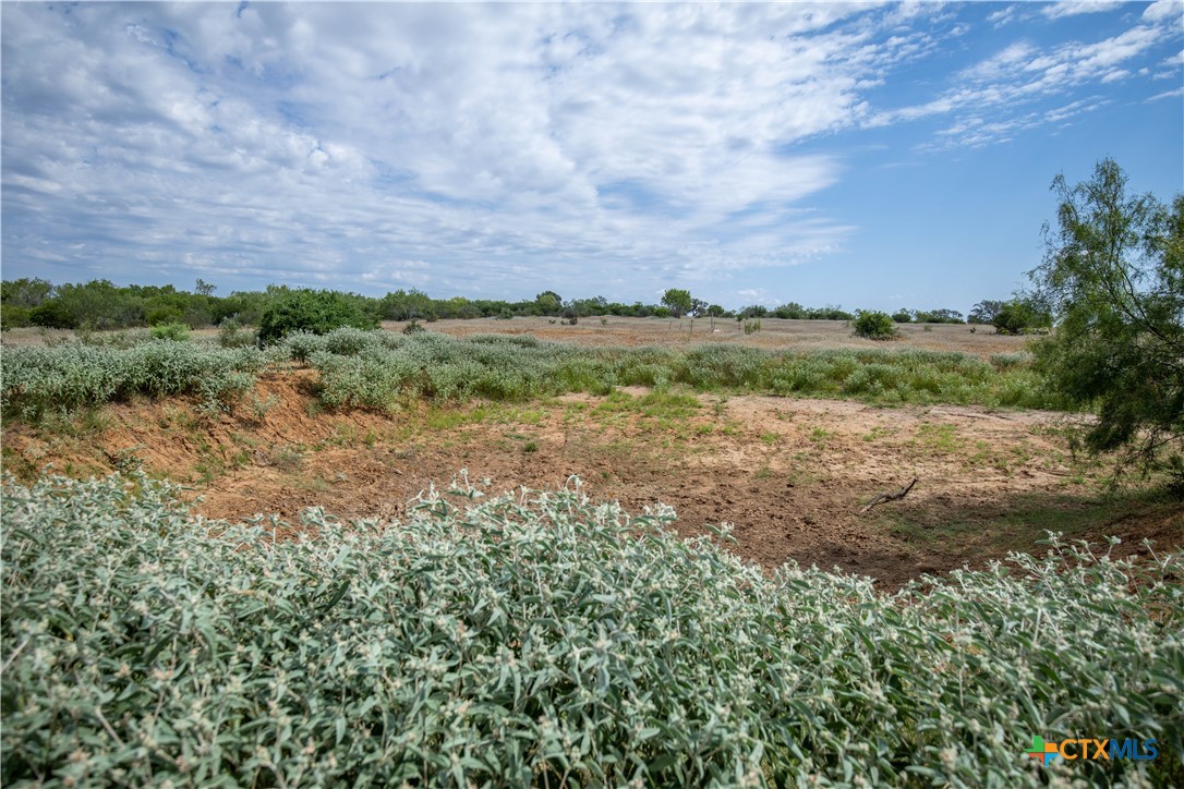 A Landscape of Texas Charm, Views, & Wildlife | 26.65± Acres | Poteet, TX