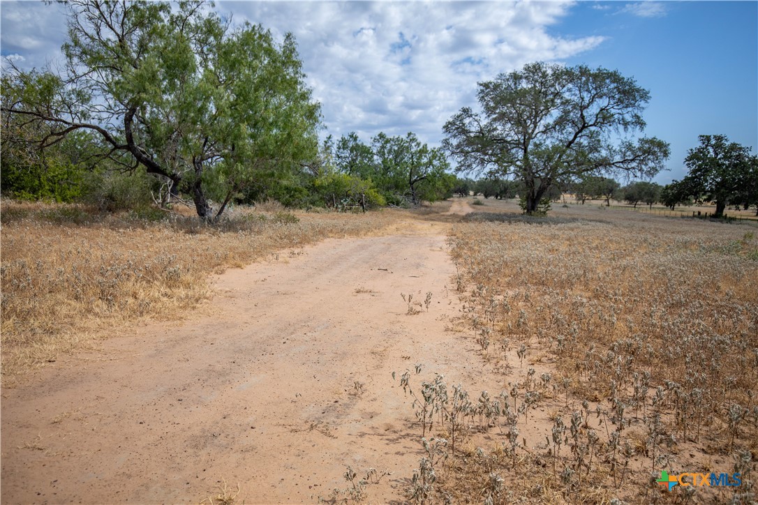 A Landscape of Texas Charm, Views, & Wildlife | 26.65± Acres | Poteet, TX
