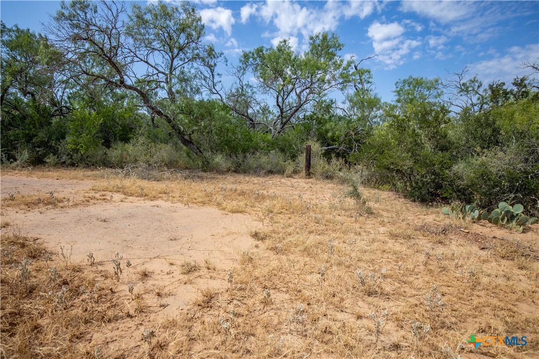 A Landscape of Texas Charm, Views, & Wildlife | 26.65± Acres | Poteet, TX
