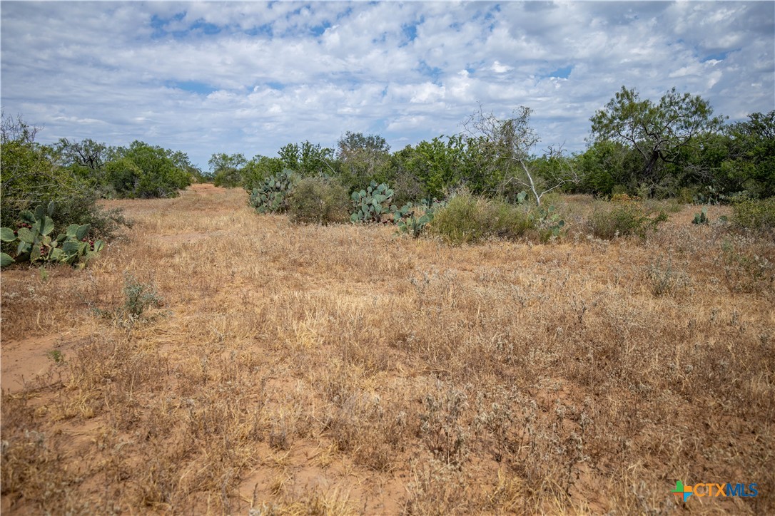 A Landscape of Texas Charm, Views, & Wildlife | 26.65± Acres | Poteet, TX
