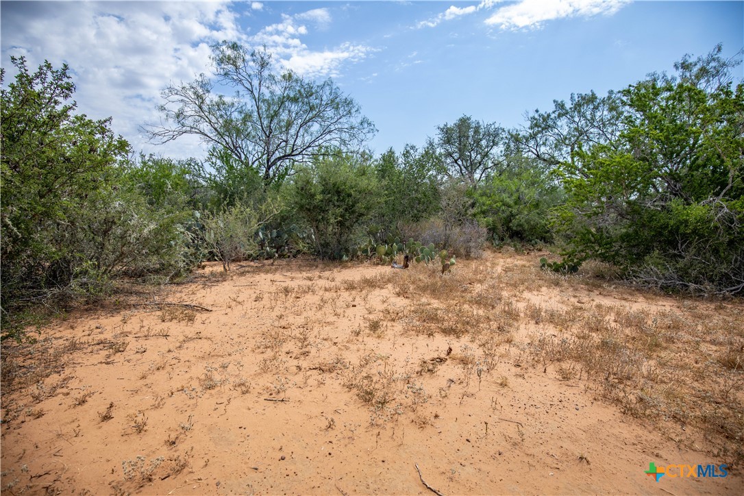 A Landscape of Texas Charm, Views, & Wildlife | 26.65± Acres | Poteet, TX