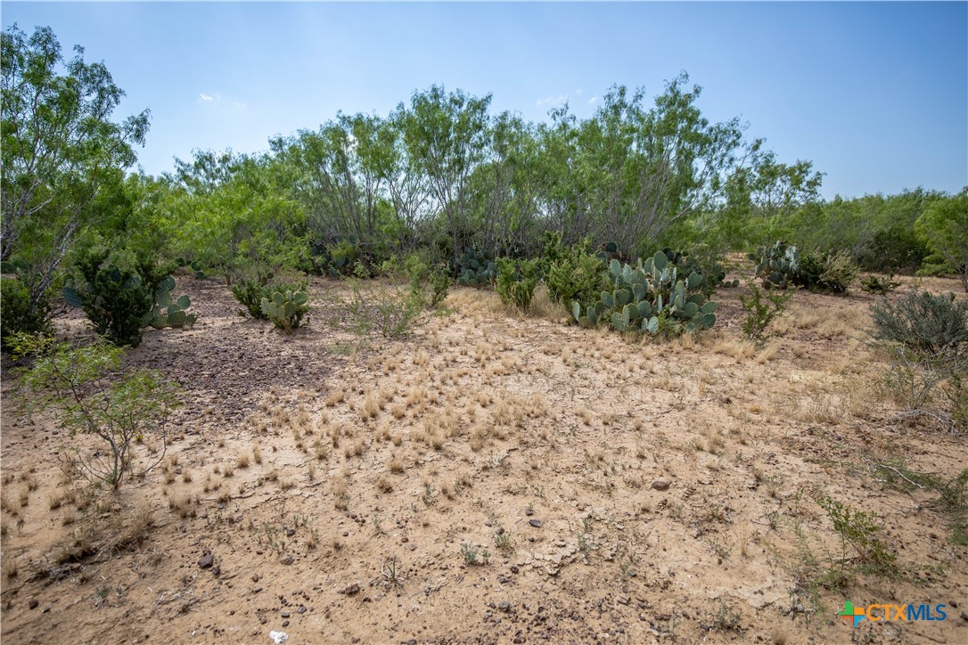 A Landscape of Texas Charm, Views, & Wildlife | 26.65± Acres | Poteet, TX