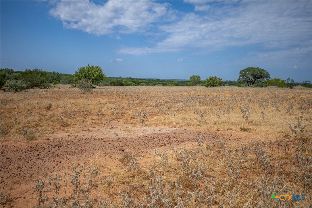 A Landscape of Texas Charm, Views, & Wildlife | 26.65± Acres | Poteet, TX