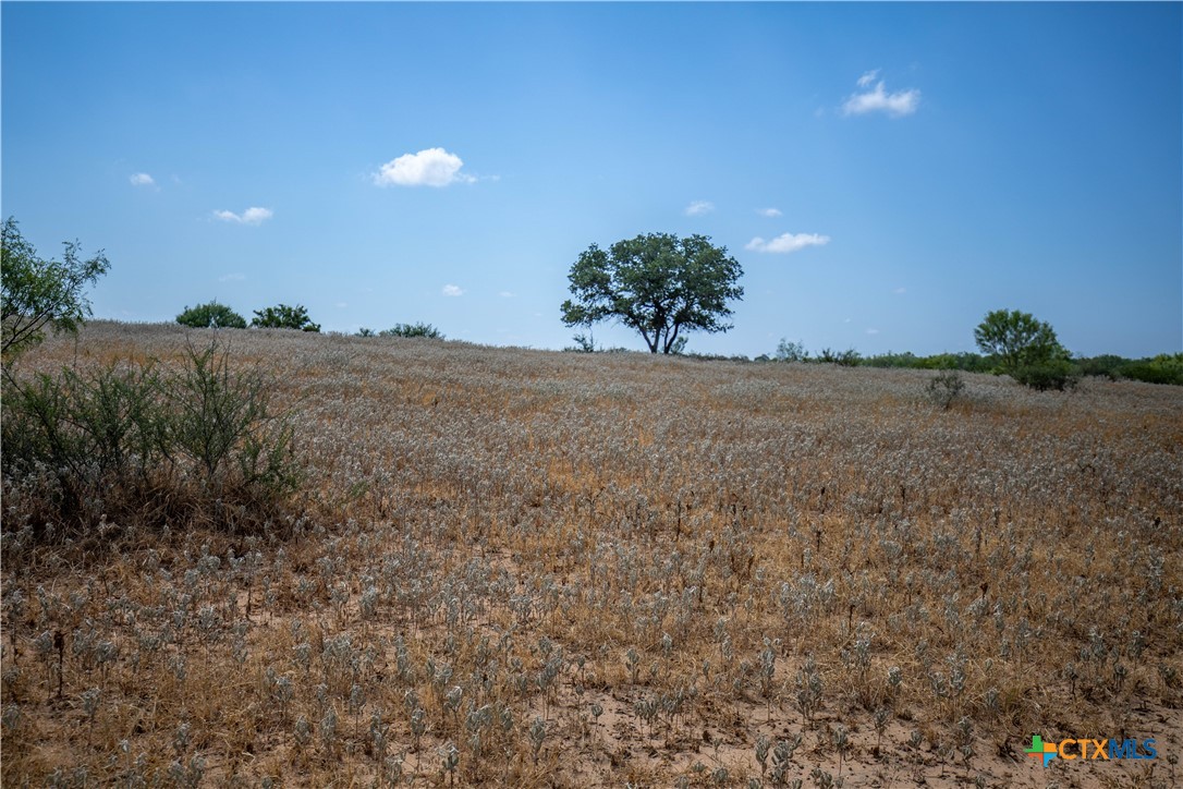 A Landscape of Texas Charm, Views, & Wildlife | 26.65± Acres | Poteet, TX