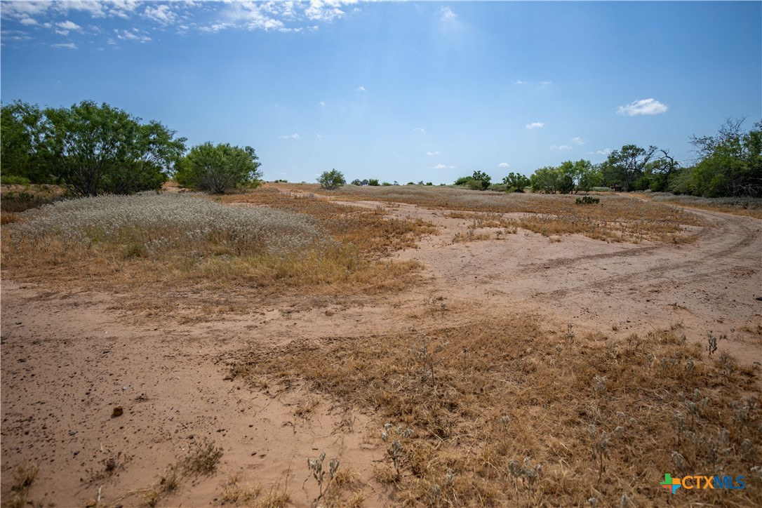 A Landscape of Texas Charm, Views, & Wildlife | 26.65± Acres | Poteet, TX