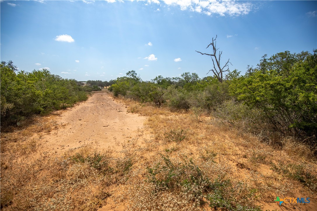 A Landscape of Texas Charm, Views, & Wildlife | 26.65± Acres | Poteet, TX