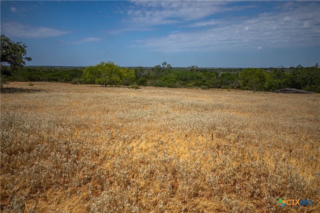 A Landscape of Texas Charm, Views, & Wildlife | 26.65± Acres | Poteet, TX