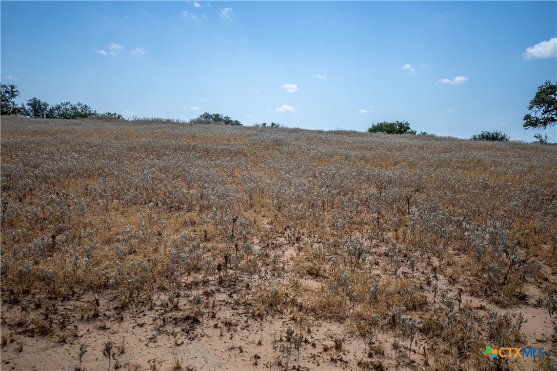 A Landscape of Texas Charm, Views, & Wildlife | 26.65± Acres | Poteet, TX