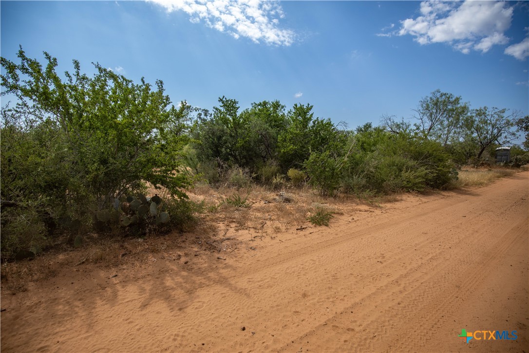 A Landscape of Texas Charm, Views, & Wildlife | 26.65± Acres | Poteet, TX