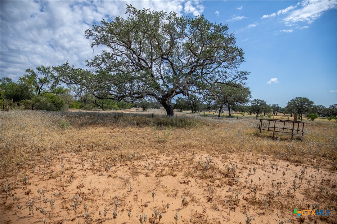 A Landscape of Texas Charm, Views, & Wildlife | 26.65± Acres | Poteet, TX