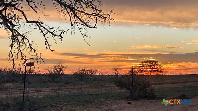A Landscape of Texas Charm, Views, & Wildlife | 26.65± Acres | Poteet, TX