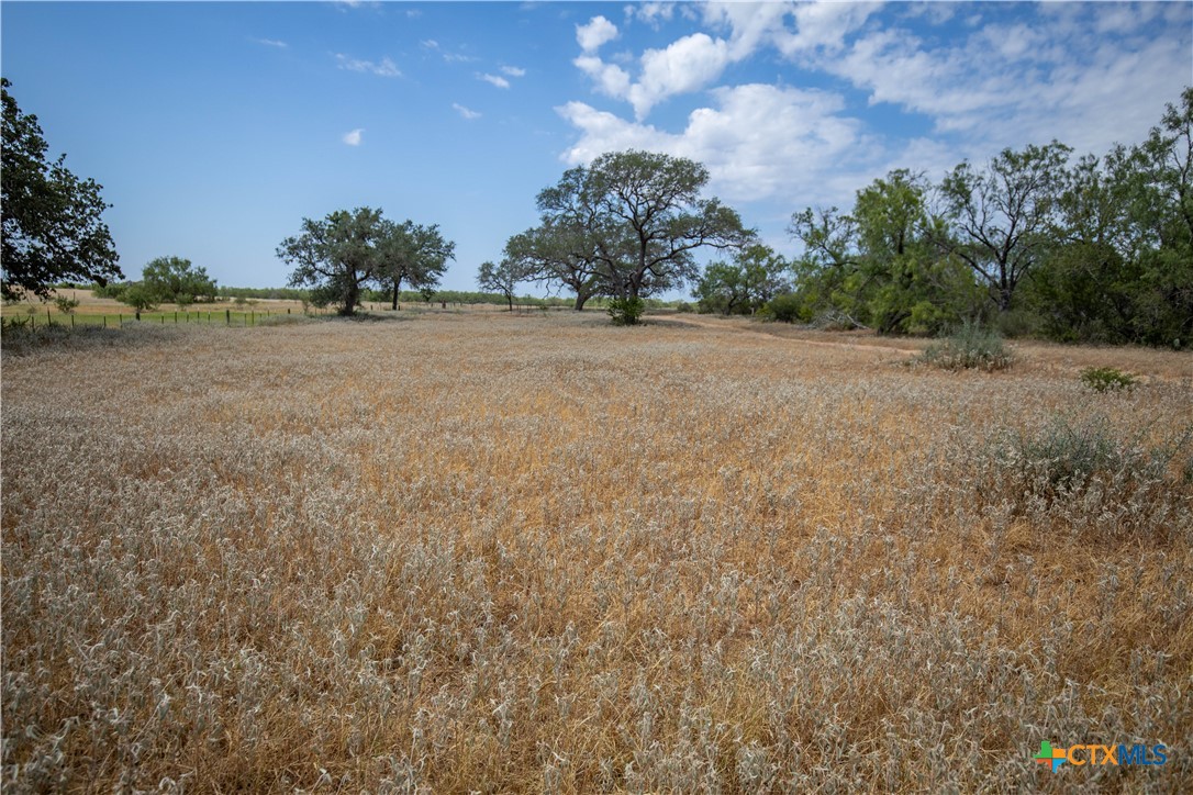 A Landscape of Texas Charm, Views, & Wildlife | 26.65± Acres | Poteet, TX