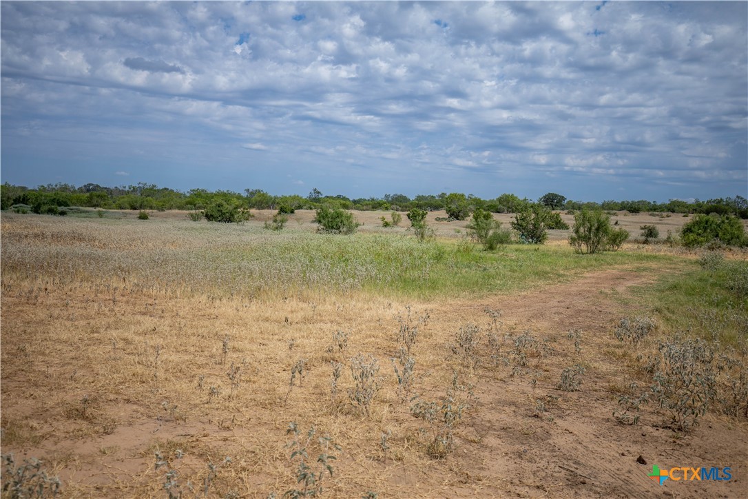 A Landscape of Texas Charm, Views, & Wildlife | 26.65± Acres | Poteet, TX