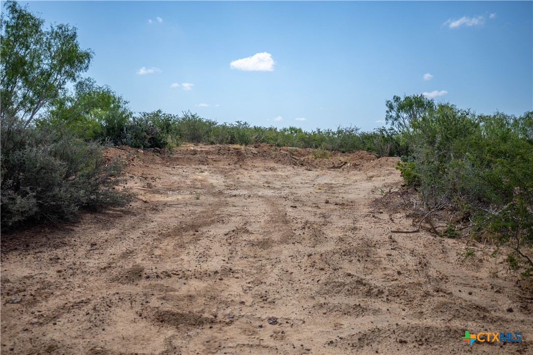 A Landscape of Texas Charm, Views, & Wildlife | 26.65± Acres | Poteet, TX