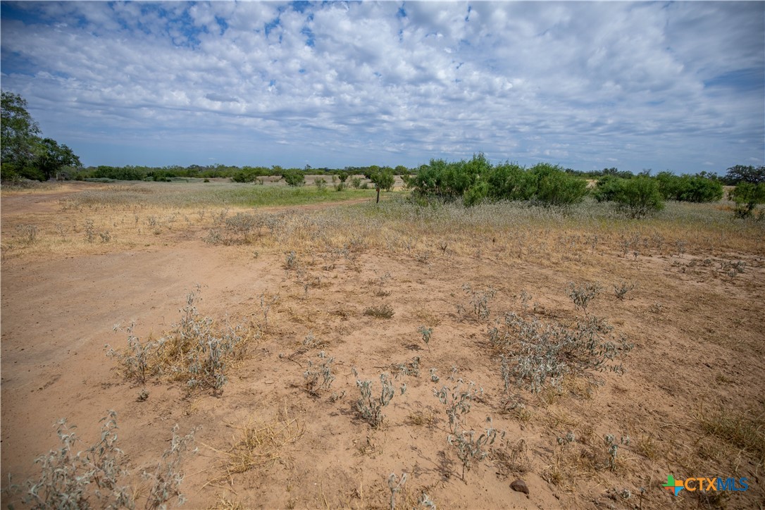 A Landscape of Texas Charm, Views, & Wildlife | 26.65± Acres | Poteet, TX