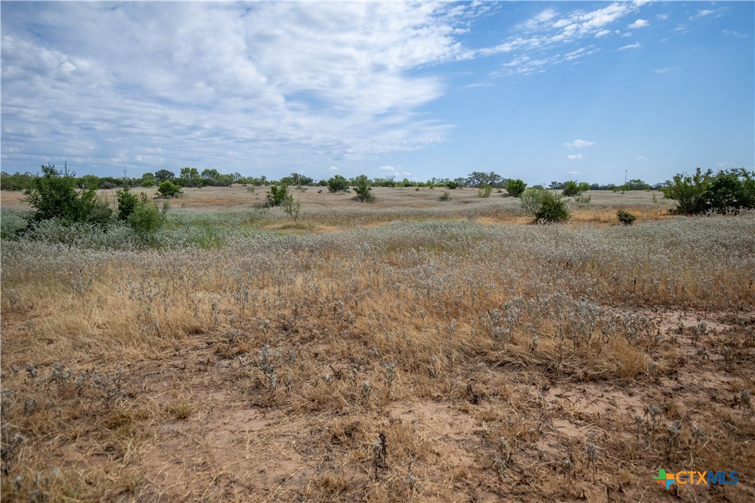A Landscape of Texas Charm, Views, & Wildlife | 26.65± Acres | Poteet, TX