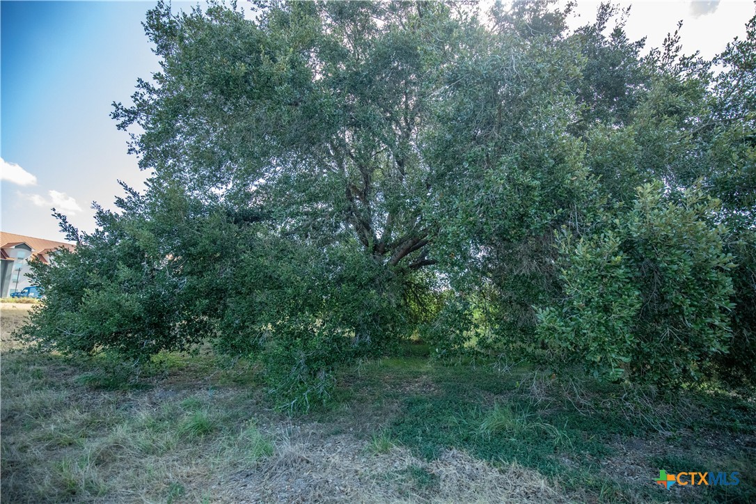 Prime Commercial Lease Lot | N Esplanade St, Cuero, TX