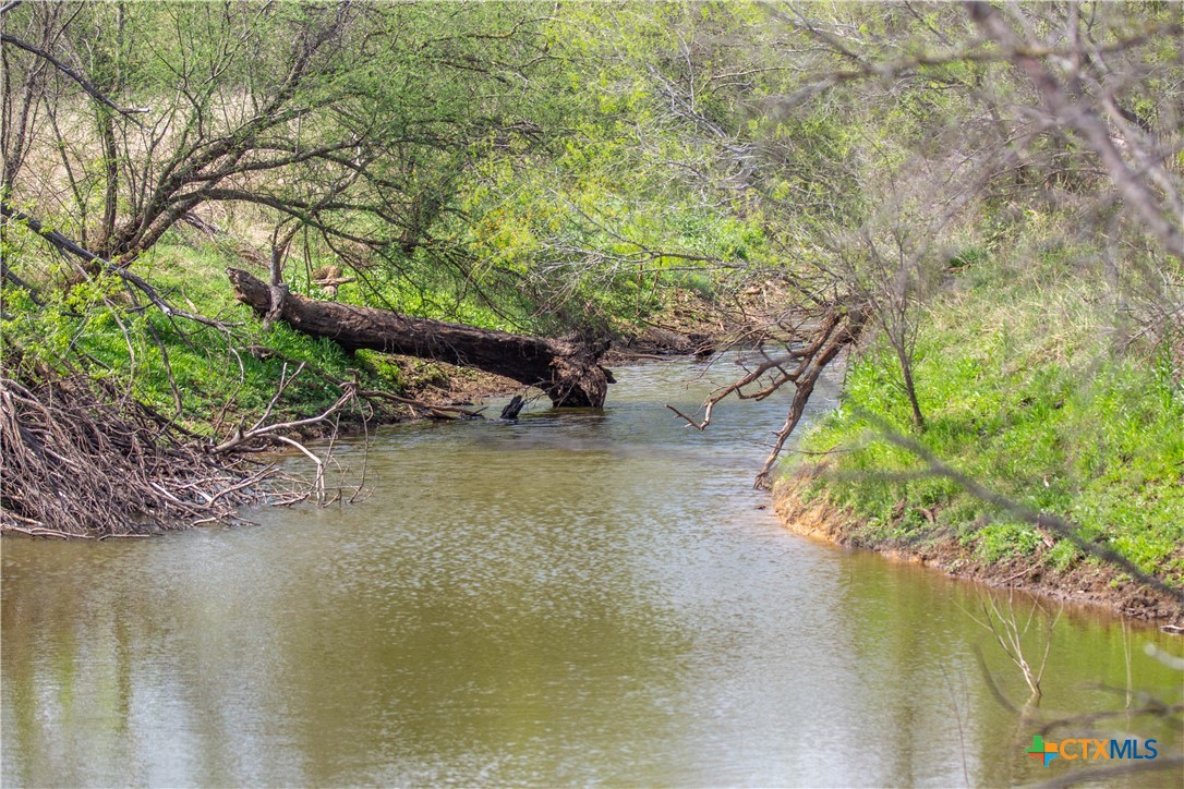 Goose Creek Ranch | 22.25± Acres | Atascosa County
